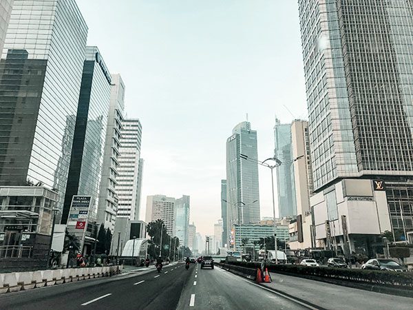 Establishment of a Limited Liability Company (PT PMA)